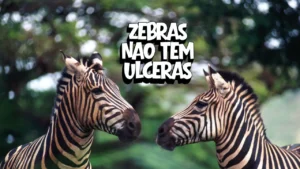 zebras não tem ulceras